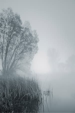 Black and white photograph - lake