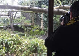 how to photograph zoos