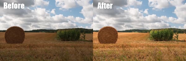 Using adjustment layers to create a mask - before and after