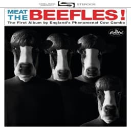 Glen Wexler Profile - Beefles
