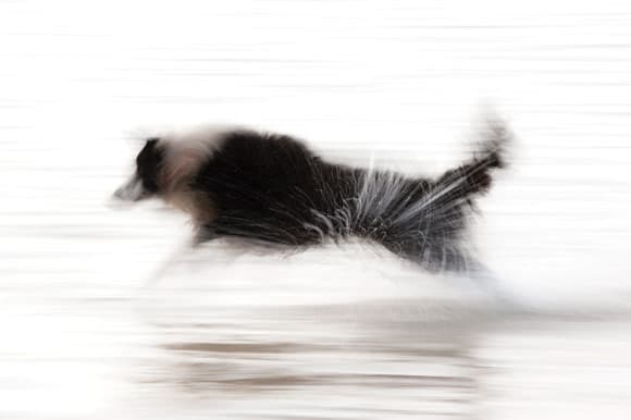 How to Shoot Subjects in Motion - Panning