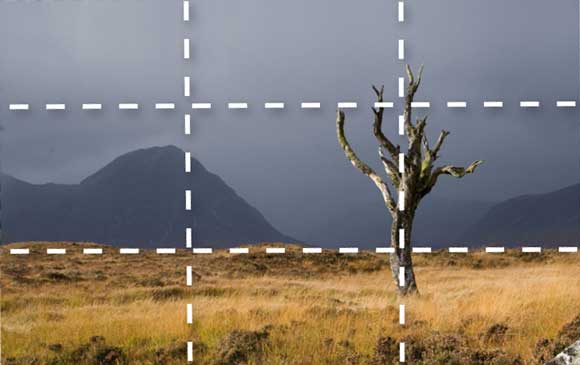 Understanding the Rule of Thirds - Why it works 2