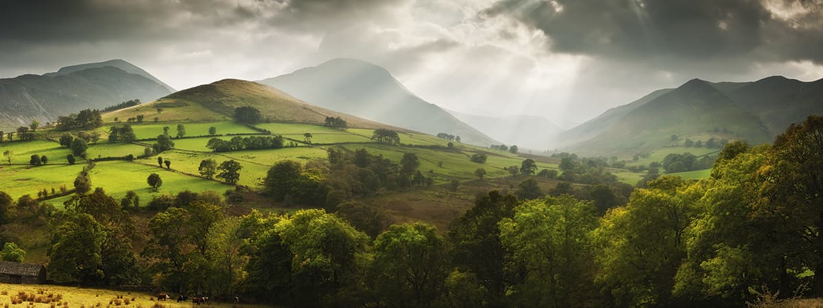 Use a neutral density filter